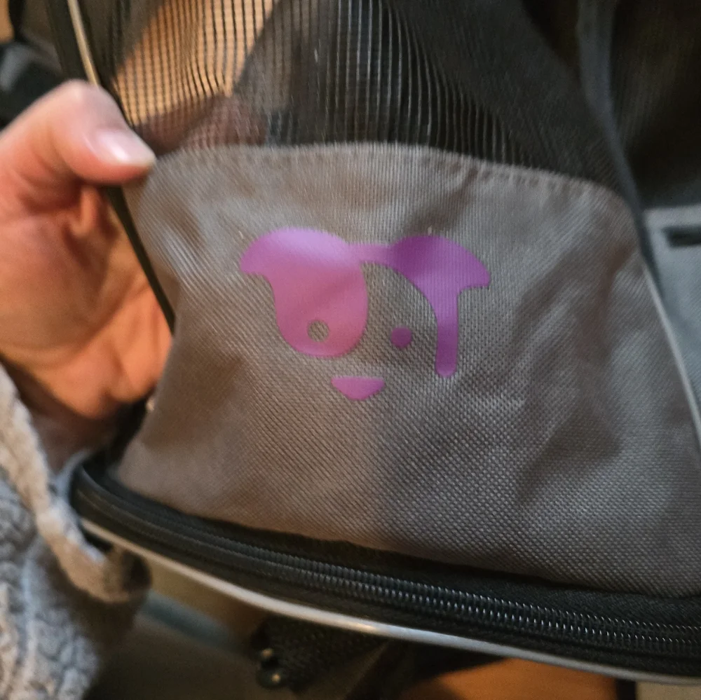 2 in 1 pet travel bag